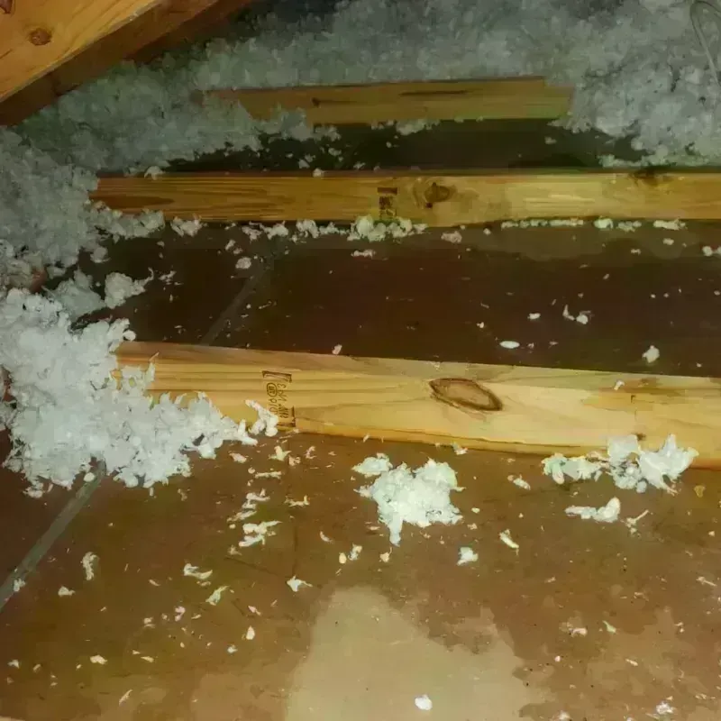 Attic Water Damage in Greenwood, PA