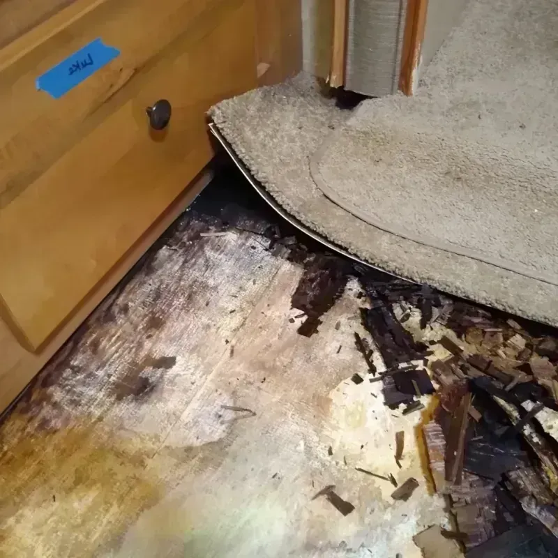 Wood Floor Water Damage in Greenwood, PA